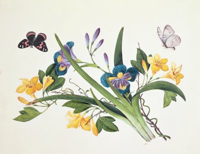 Blue Iris and Insects by Chinese School
